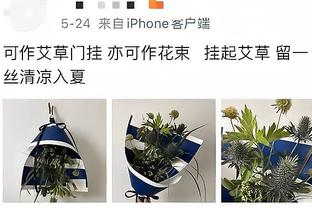 布伦森：球队整场比赛防守端毫无作为 我们不能让对手舒服地打球